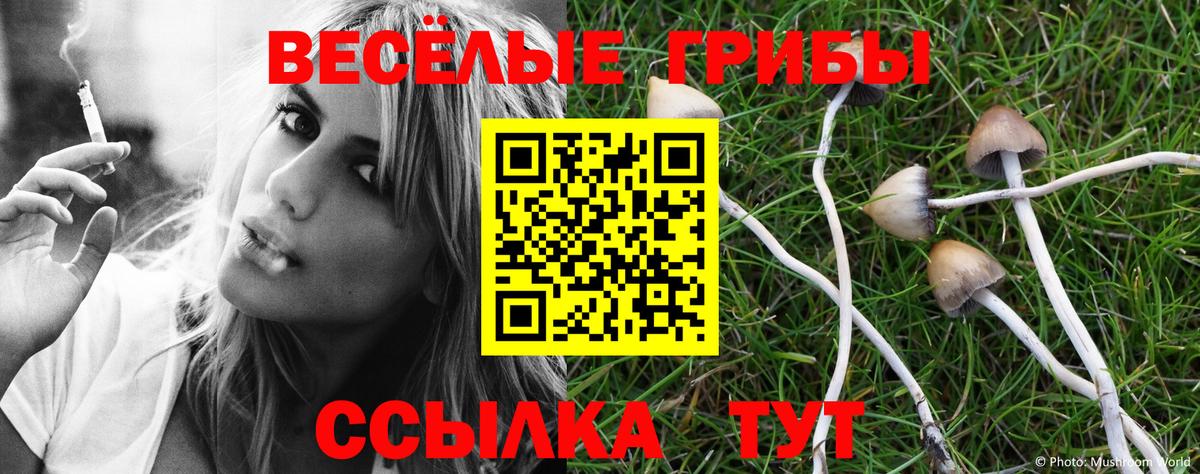 Псилоцибиновые грибы GOLDEN TEACHER  Вход с VPN  цена наркотик  Балашиха 