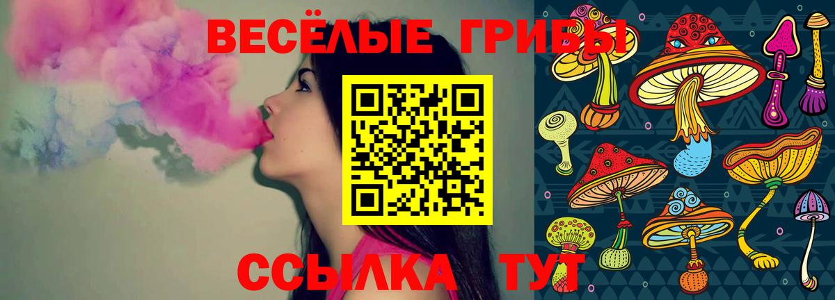 Галлюциногенные грибы MAGIC MUSHROOMS Балашиха